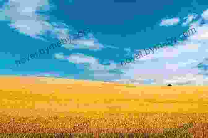 A Breathtaking Landscape Of Rolling Hills, Golden Wheat Fields, And Blue Skies In Saskatchewan Coming Home: Saskatchewan Remembered Ron Evans