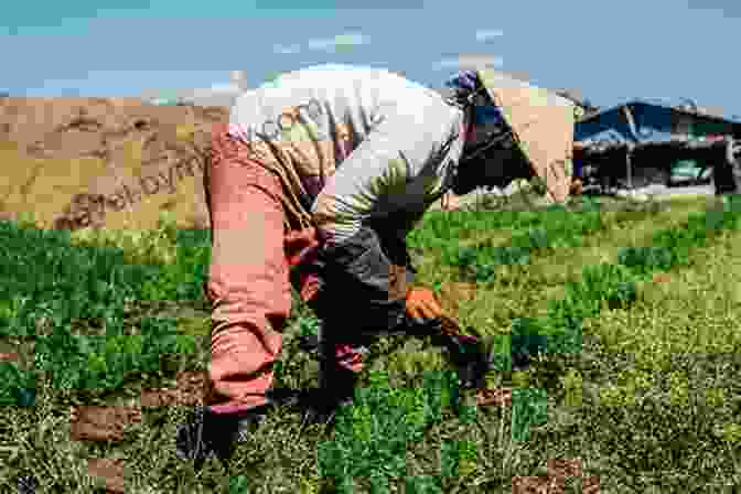 A Farmer Tending To A Field Of Crops. Unbound: How Eight Technologies Made Us Human And Brought Our World To The Brink