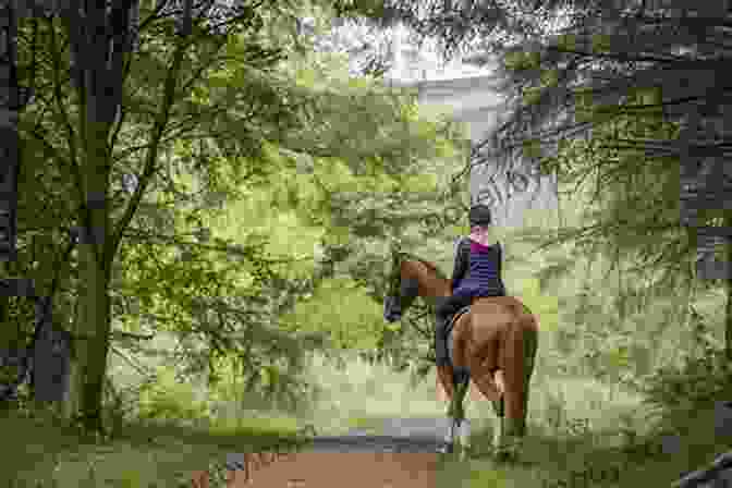 A Group Of Riders Enjoys A Trail Ride Through A Forest The Magic Of The Horse