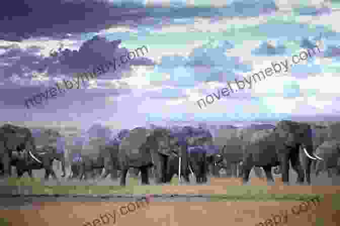 A Herd Of Elephants Walking Through The African Savanna National Geographic Readers: Great Migrations Elephants