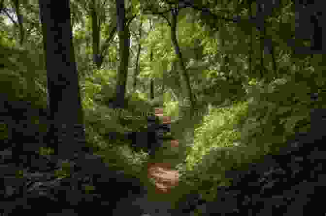 A Hiker Traverses A Rugged Mountain Path, Surrounded By Towering Trees A Rustle In The Grass