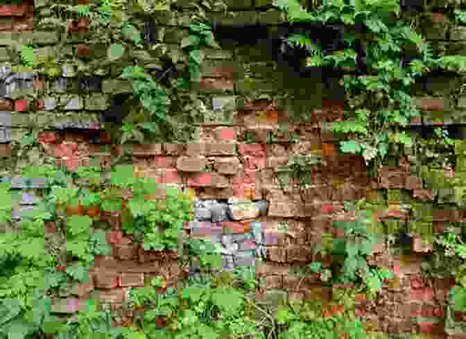 A Photograph Of A Dilapidated Prison, Its Walls Crumbling And Overgrown With Vines. The Women S House Of Detention: A Queer History Of A Forgotten Prison