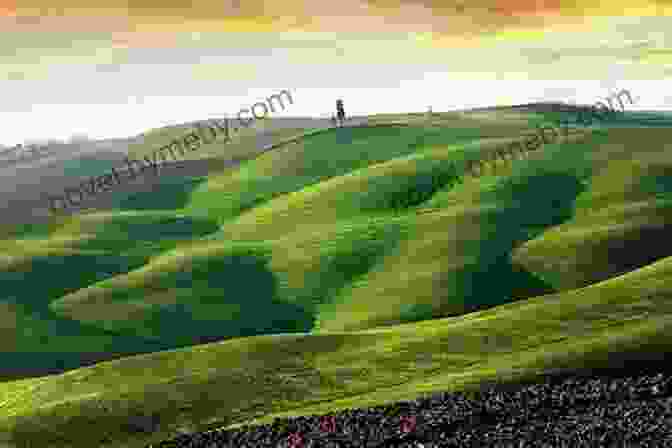 A Picturesque View Of A Normandy Beach, With Rolling Green Hills In The Distance Rick Steves Snapshot Normandy Rick Steves