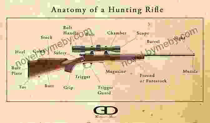 Anatomy Of A Precision Rifle, Showcasing Barrel, Action, Stock, And Trigger. Shooter S Bible Guide To Tactical Firearms: A Comprehensive Guide To Precision Rifles And Long Range Shooting Gear