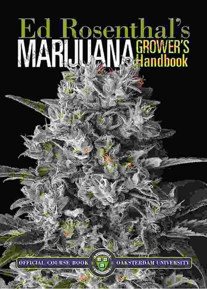 Cannabis Plant Marijuana Grower S Handbook: Your Complete Guide For Medical And Personal Marijuana Cultivation