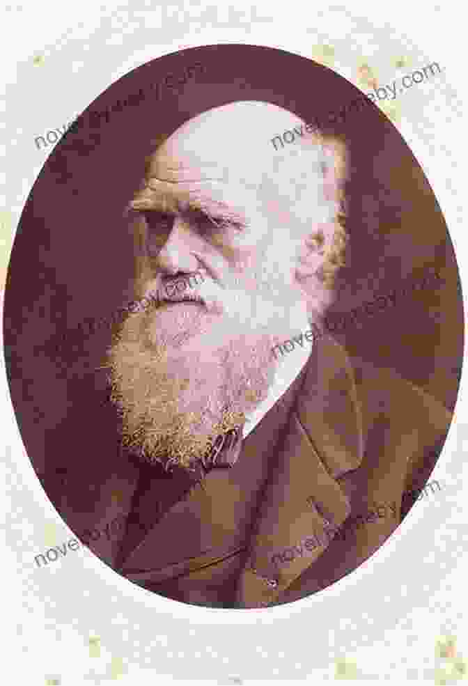 Charles Darwin, A Portrait Capturing His Contemplative Expression And Piercing Eyes Evolution S Captain: NF Abt Capt FitzRoy Chas Darwin