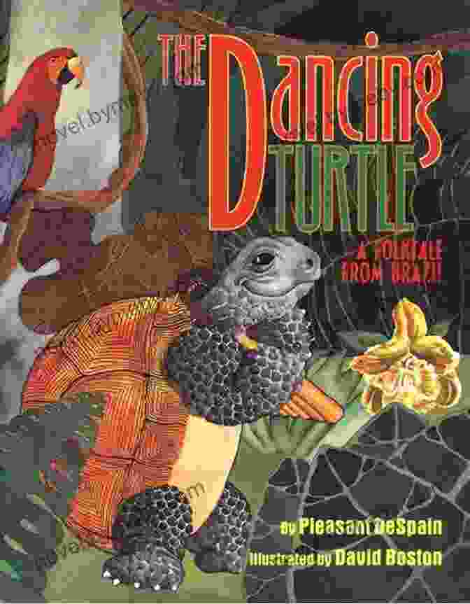 Dancing Turtle Littlefolk Picture Books Dancing Turtle (LittleFolk Picture Books)