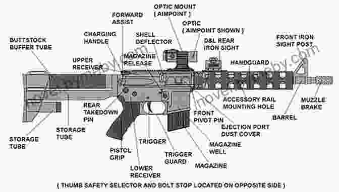 Diagram Of The AR 15 Components Gun Digest Shooter S Guide To The AR 15