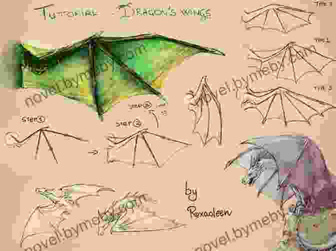 Dragon's Wings Drawing Tutorial How To Draw Easy Dragon Step By Step: 12 Best Dragon Drawing Tutorials