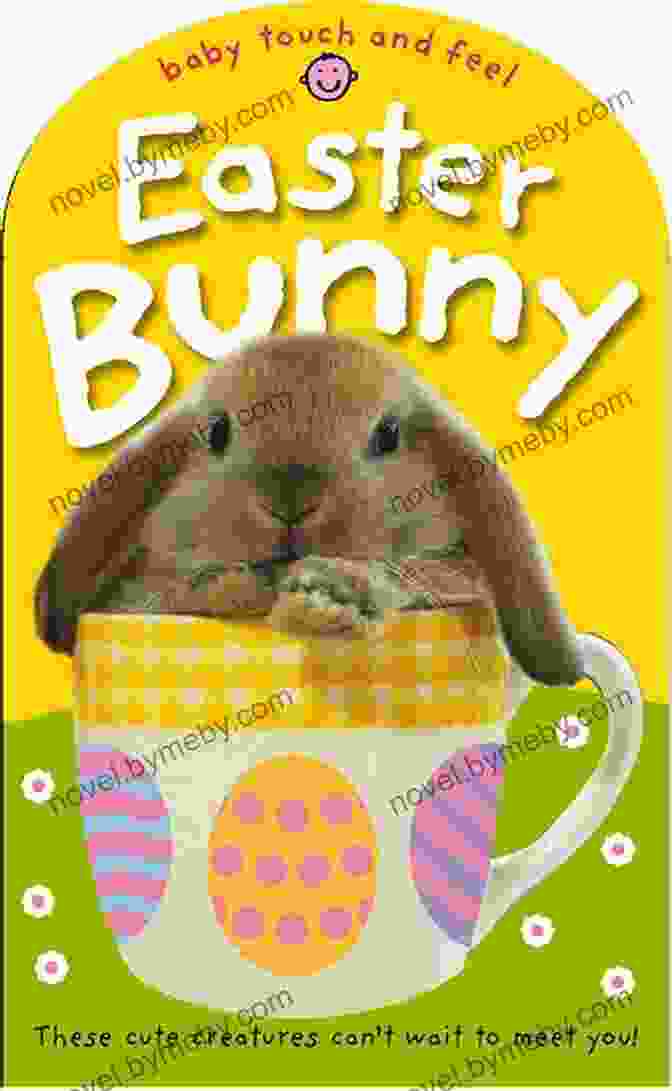 Easter Bunny Funny Bunny Book Cover Easter Bunny Funny Bunny Ryan T Higgins