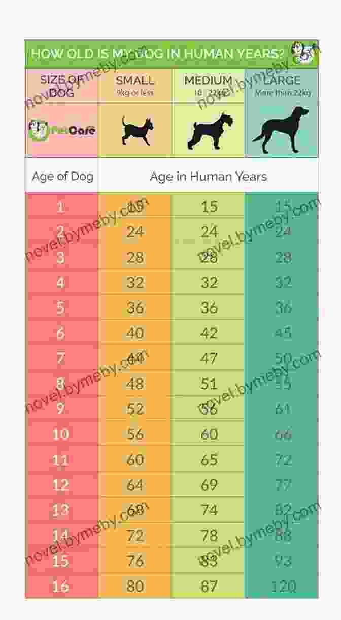 Factors Influencing Canine Aging The Forever Dog: Surprising New Science To Help Your Canine Companion Live Younger Healthier And Longer