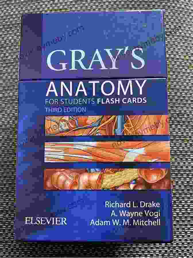 Gray Anatomy For Students Flash Cards Gray S Anatomy For Students Flash Cards E Book: With STUDENT CONSULT Online Access