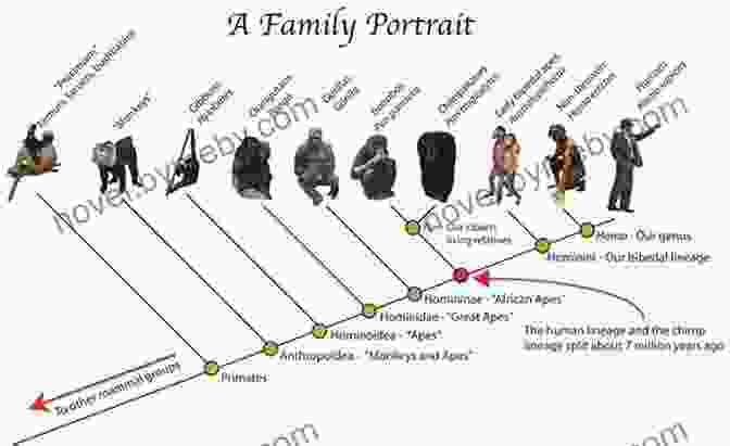 Guidebook Cover: Idaa Trail: In The Steps Of Our Ancestors Idaa Trail: In The Steps Of Our Ancestors