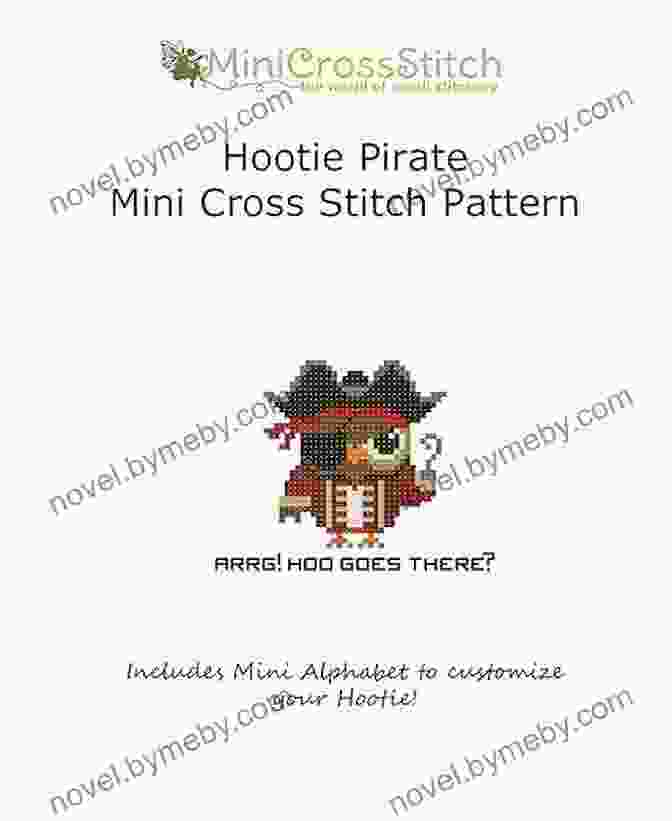 Hootie Pirate Mini Cross Stitch Pattern Completed Hootie Pirate Mini Cross Stitch Pattern