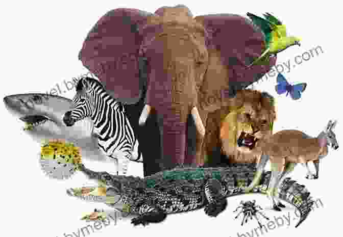 Image Of The Animal Kingdom Riddles And Rhymes: What Did The ABCs Feed The Animals: Bedtime With A Smile Picture (Get Smarter While Having Fun 1)