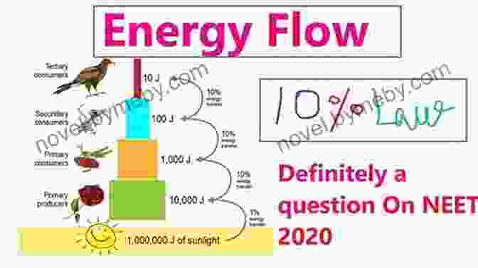 Image Representing The Law Of Energy Flow, Which Explains That Money Is A Form Of Energy And Must Be Kept In Circulation To Maintain Abundance. 18 Money Energy Laws Valentina White