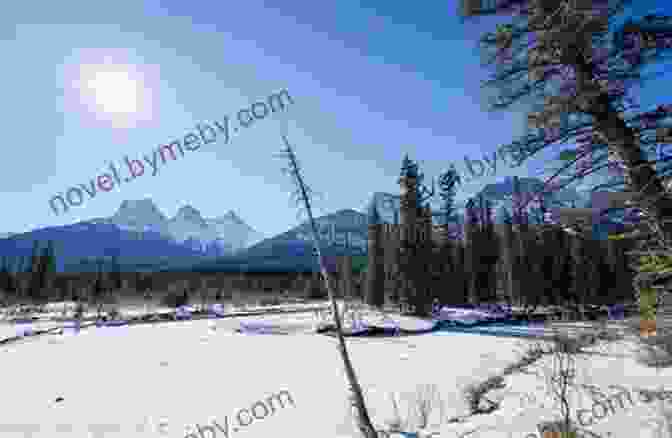 Lawrence Grassi Standing Tall In The Snow Covered Rocky Mountains, Surrounded By Towering Peaks Lawrence Grassi: From Piedmont To The Rocky Mountains