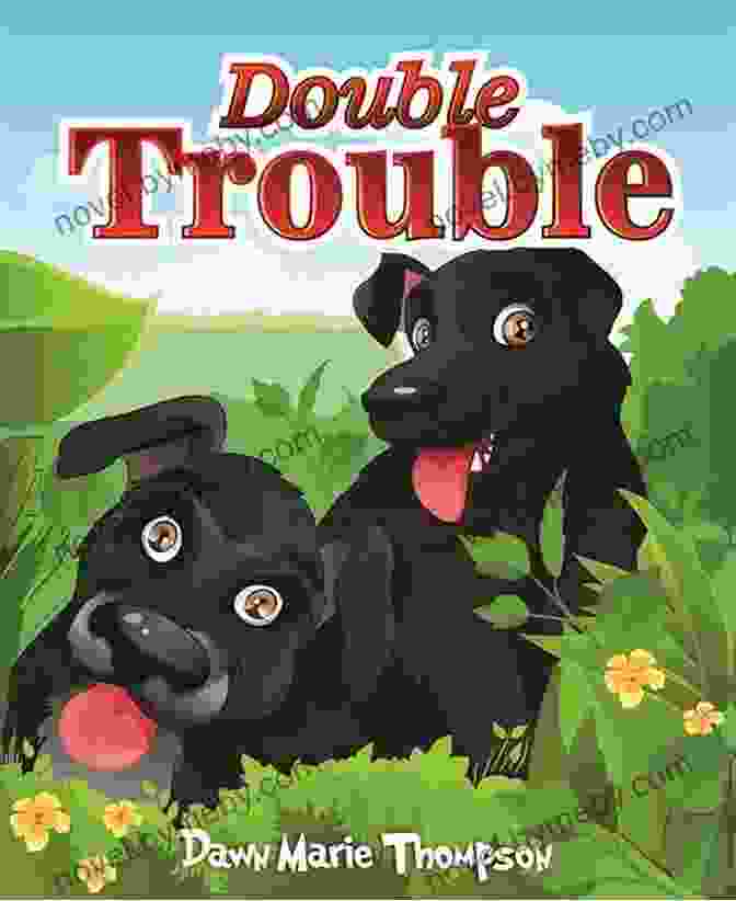 The Whimzy And Whammy Of Chase And Chance Double Trouble Book Cover The Whimzy And Whammy Of Chase And Chance Double Trouble