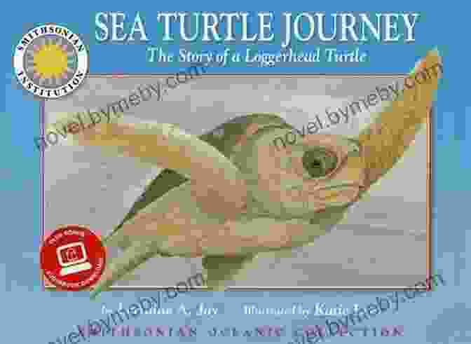 Toshiharu Bare Feet Loggerhead Story Book Cover Toshiharu S Bare Feet: A Loggerhead Story