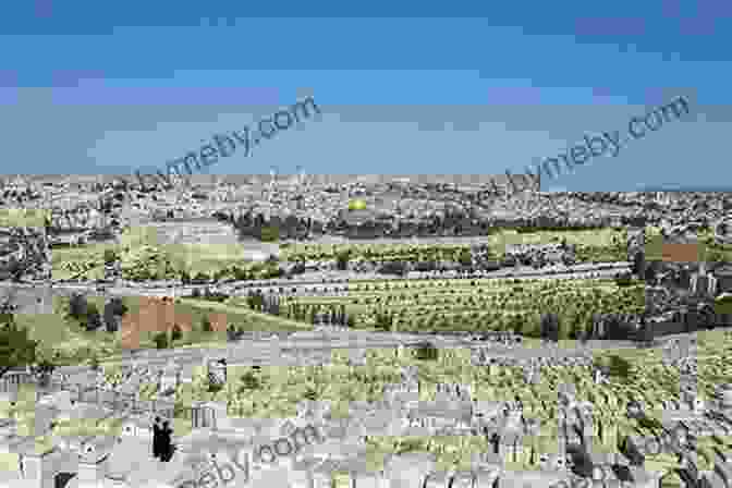 View Of The Old City Of Jerusalem From The Mount Of Olives Palestinian Walks: Forays Into A Vanishing Landscape