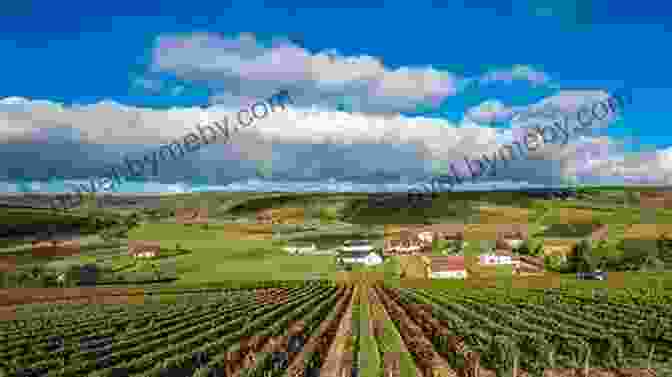 Vineyards In The Loire Valley Rick Steves Snapshot Loire Valley