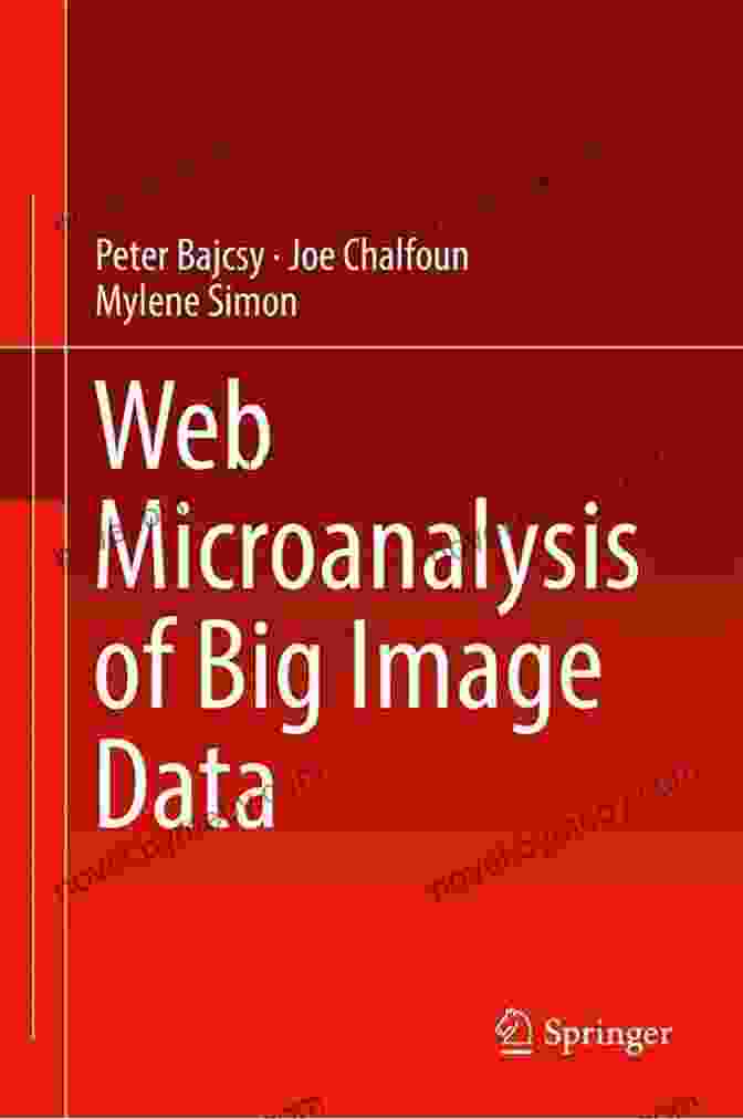 Web Microanalysis Of Big Image Data Book Cover Web Microanalysis Of Big Image Data