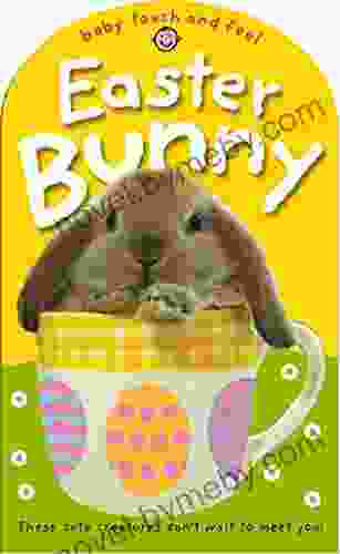 Easter Bunny: Touch And Feel (Baby Touch And Feel)