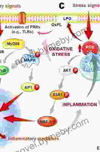 Autism: Oxidative Stress Inflammation And Immune Abnormalities