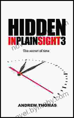 Hidden In Plain Sight 3: The secret of time