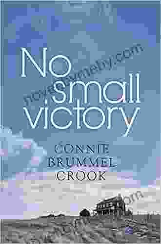 No Small Victory Sue Mongredien