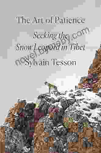 The Art Of Patience: Seeking The Snow Leopard In Tibet