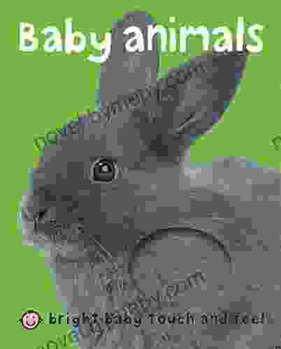 Bright Baby Baby Animals: Touch And Feel (Bright Baby Touch And Feel)