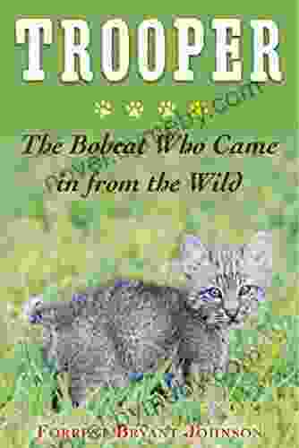 Trooper: The Bobcat Who Came In From The Wild