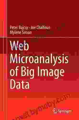 Web Microanalysis Of Big Image Data